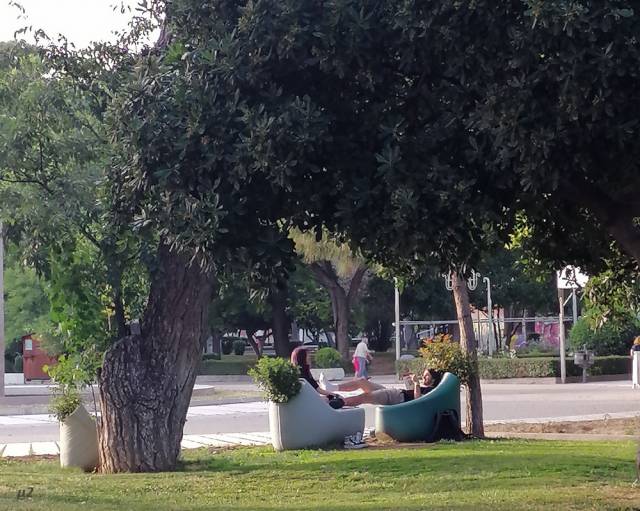Πράσινες οάσεις στις πόλεις: η ελληνική πραγματικότητα