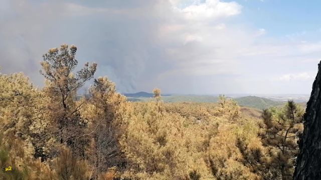Η καταστροφή της Δαδιάς ως διαχρονική ανεπάρκεια της χώρας να διασώσει την βιο-πολιτισμική της κληρονομιά
